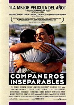 Compañeros inseparables