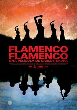 Flamenco, Flamenco