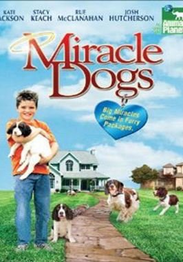 Miracle Dogs