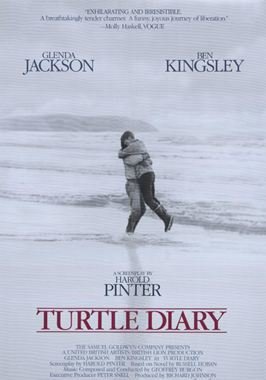 Turtle Diary