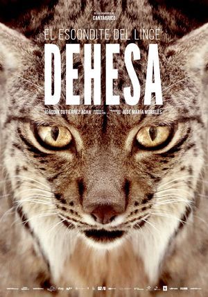 Dehesa, el escondite del lince